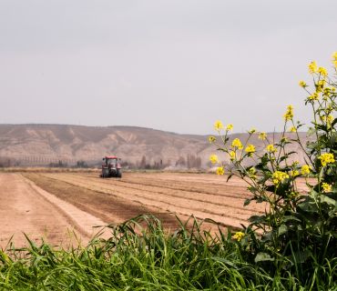 Ekonomia agrobiznesu