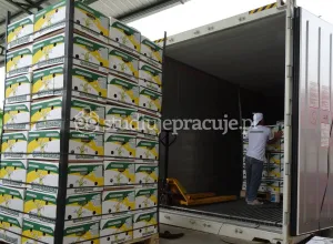 Работник склада бананов